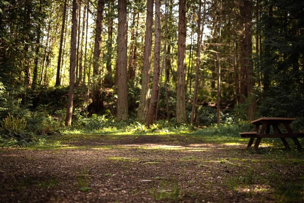 pages-resort-marina-wooded-site