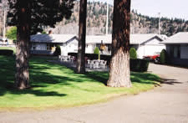 Pinegrove Motel Trees