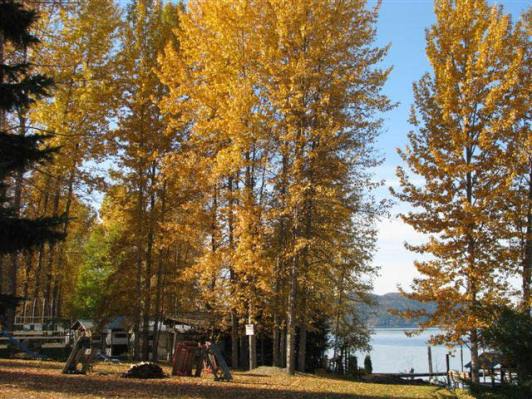 Plato Island Resort & Marina Fall