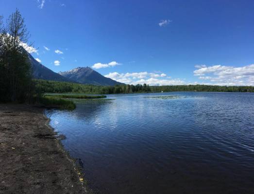 Riverside Municipal Campground River View