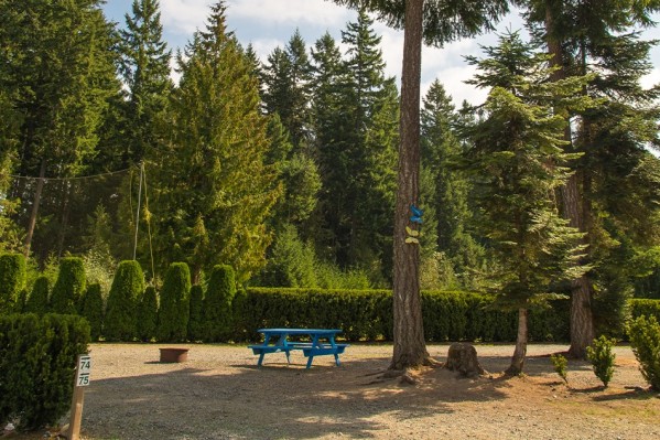 picnic table