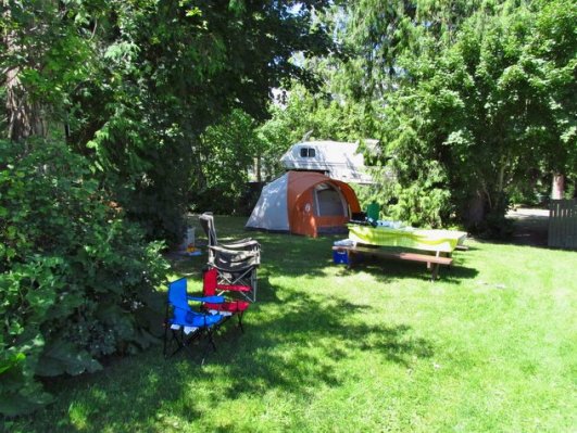 Shuswap Lake Motel & Resort Tent Site