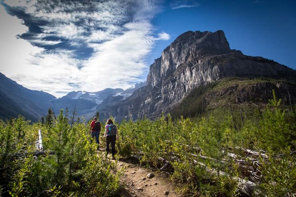 kootenay-national-park-3