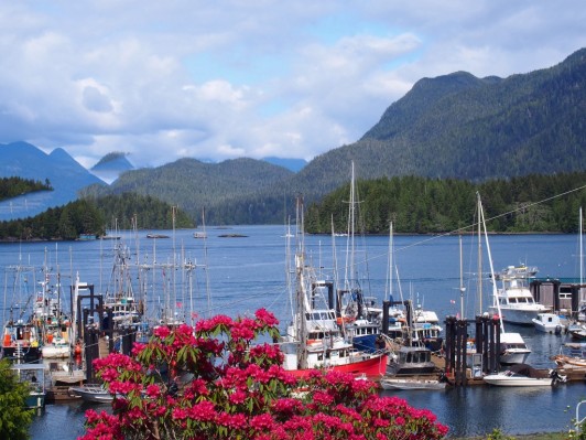 Tofino Motel Harbor