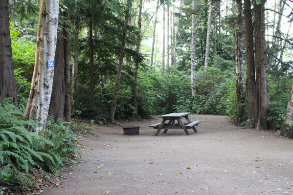 Ucluelet Campground Site1