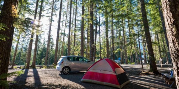 Whistler RV Park tenting site