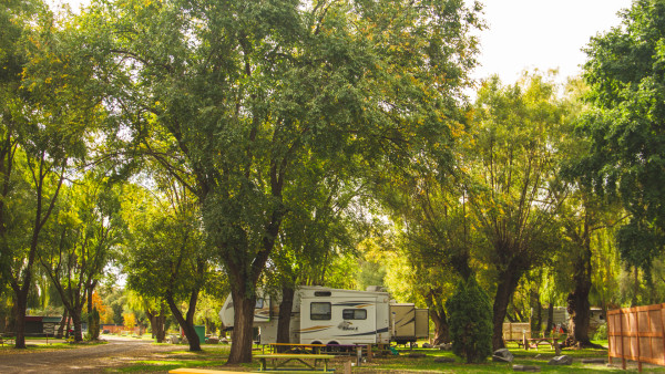 Wood Lake RV Park & Marina eagle rv