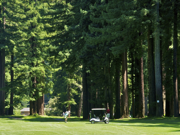 Northwood Golf Club | SonomaCounty.com
