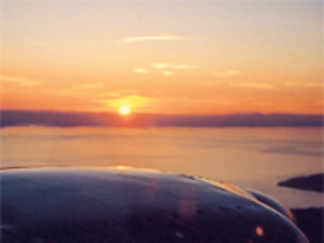 Coastal Air Tours
