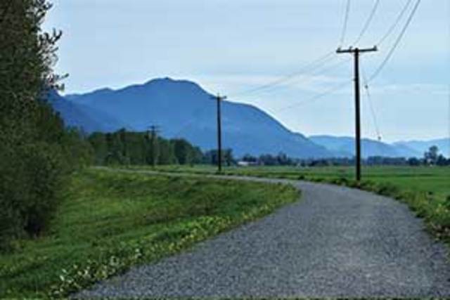 Matsqui Regional Park Trail