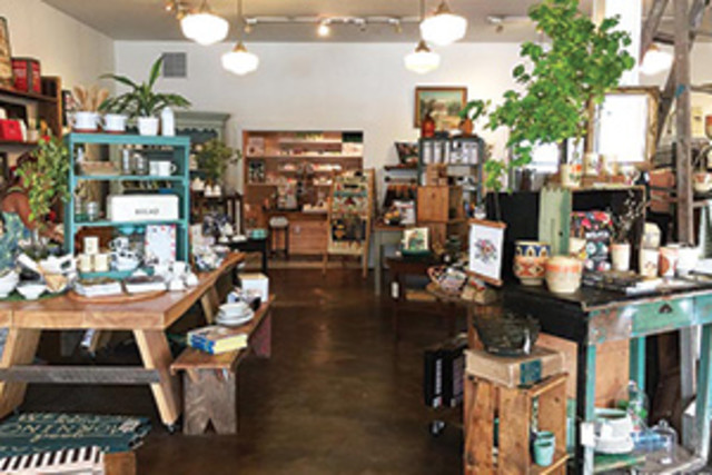 Spruce Collective