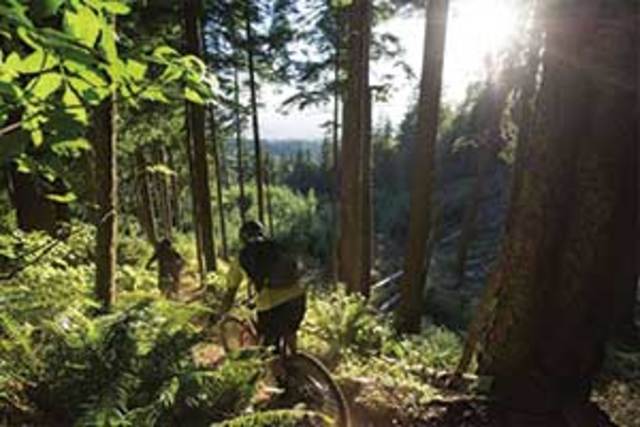 Sumas Mountain Regional Park