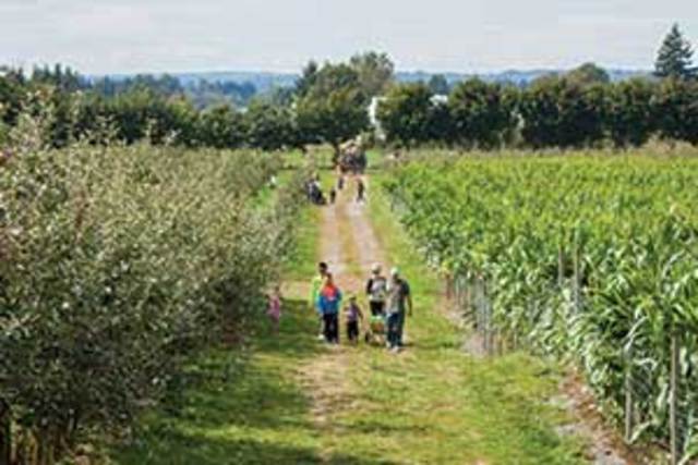 Applebarn at Taves Family Farms