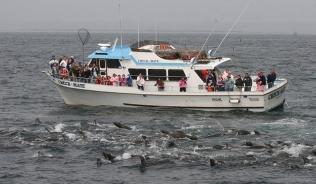 Monterey Tours