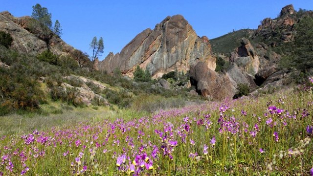 Monterey Parks