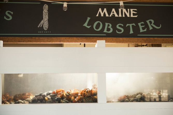TheAlbright_BrianMorena_FoodShot_MaineLobster