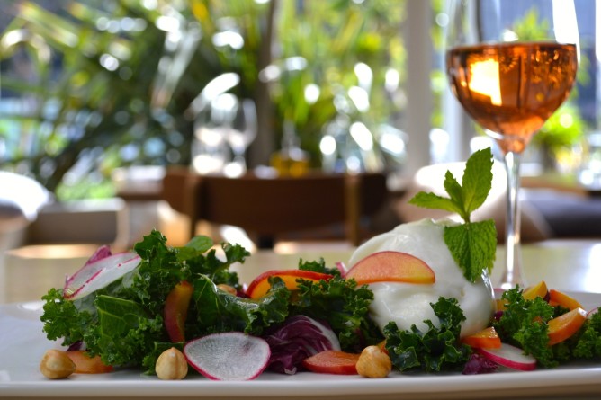 Obica Mozzarella Bar