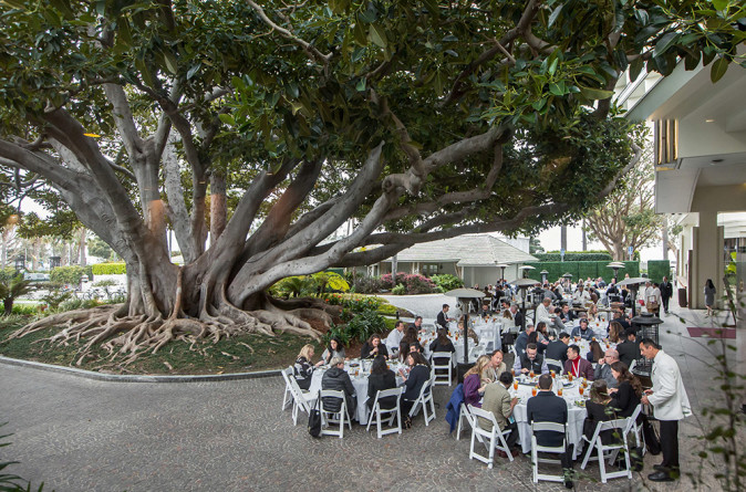 Event under the Fig tree