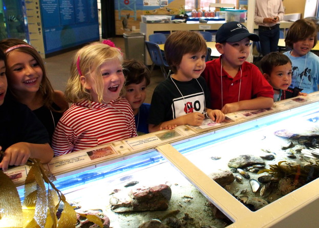 Heal the Bay Aquarium Science Camp - Heal the Bay