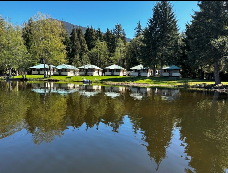 Water-lily-bay-resort-cabins-lake