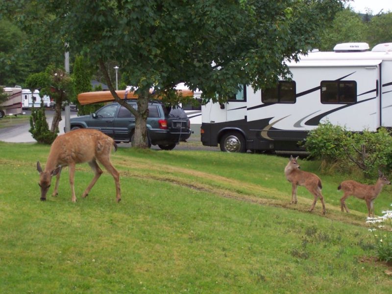 Prince Rupert RV Campground