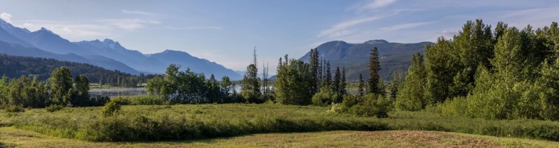 Quinn Creek Campground