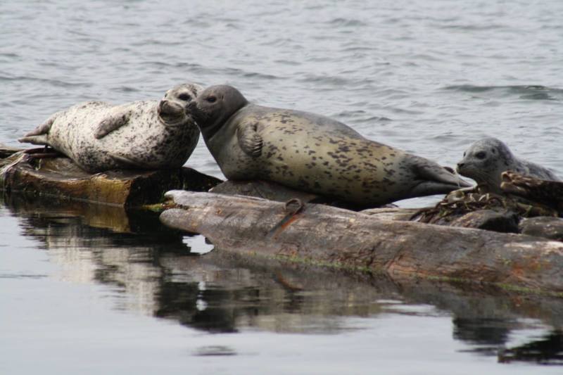 Sunny Shores Resort & Marina