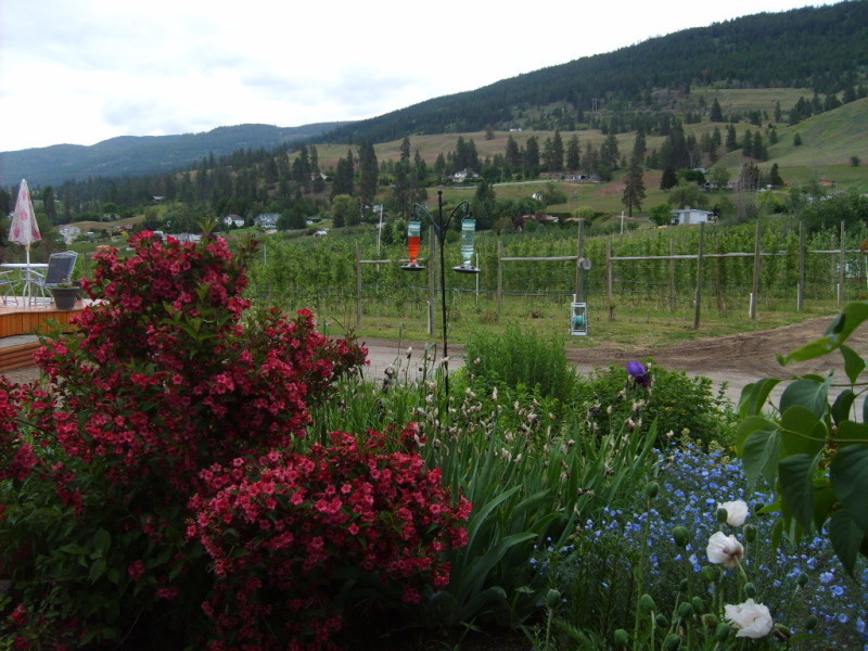 The Orchard RV Retreat