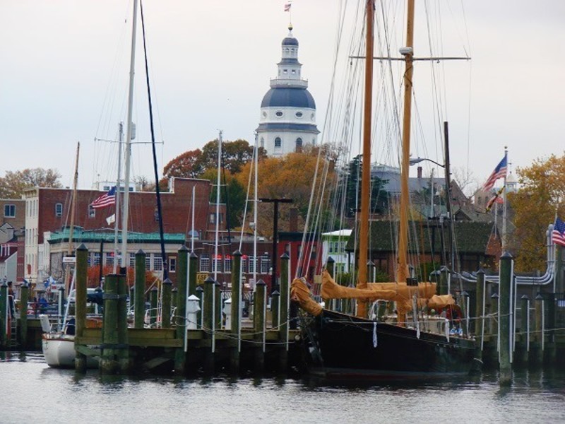 Visit Annapolis Discover Annapolis Tours 40 Minute Tour (Seasonal)