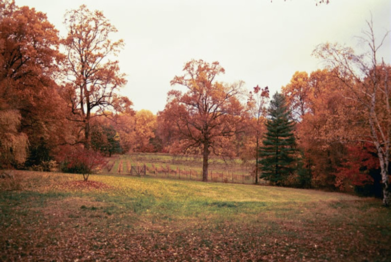 Visit Annapolis - Thanksgiving Farm Winery