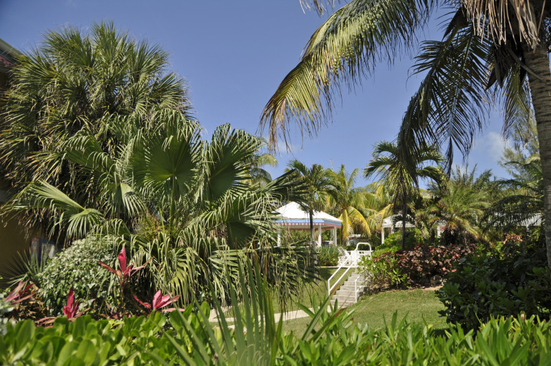 Coconut Bay Landscaping