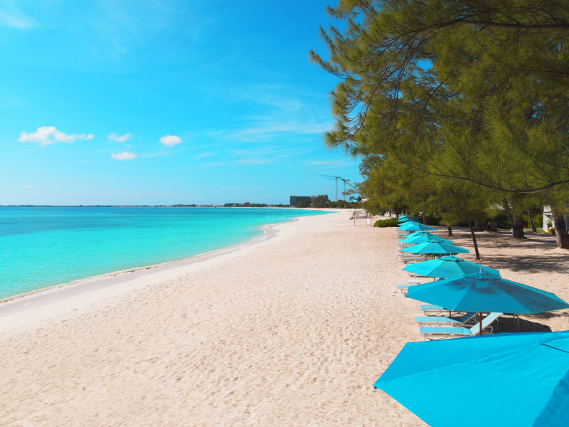 Beach and umbrellas