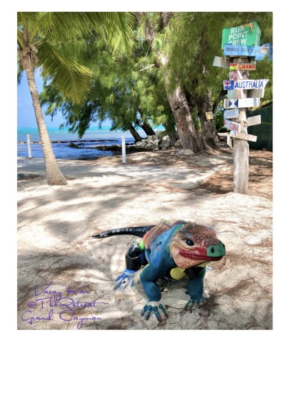 16.Rum Point