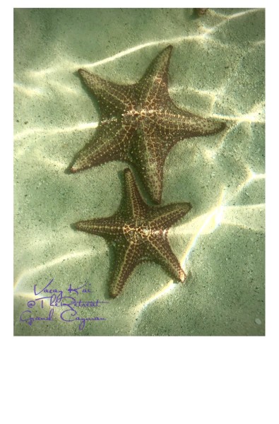 17.Star Fish Beach