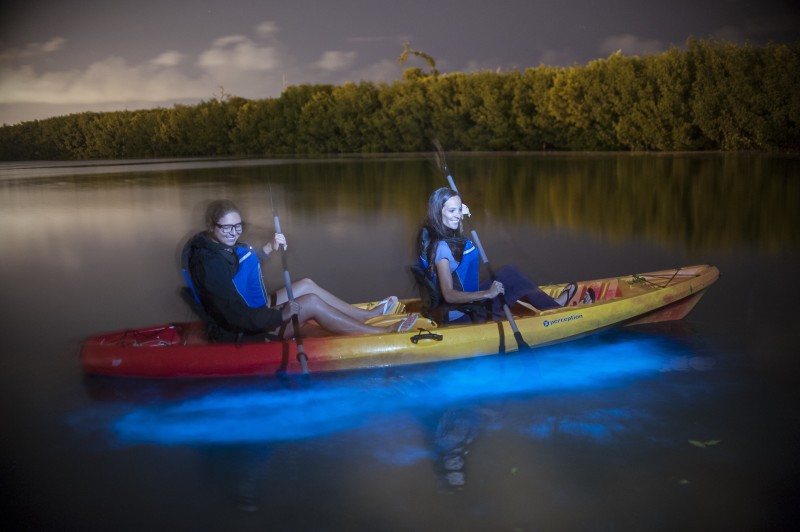 Bioluminescent kayaking