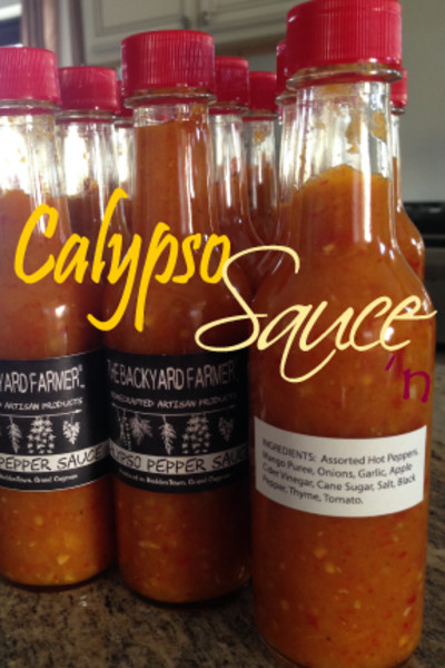 223_43278617_calypso-sauce.jpg