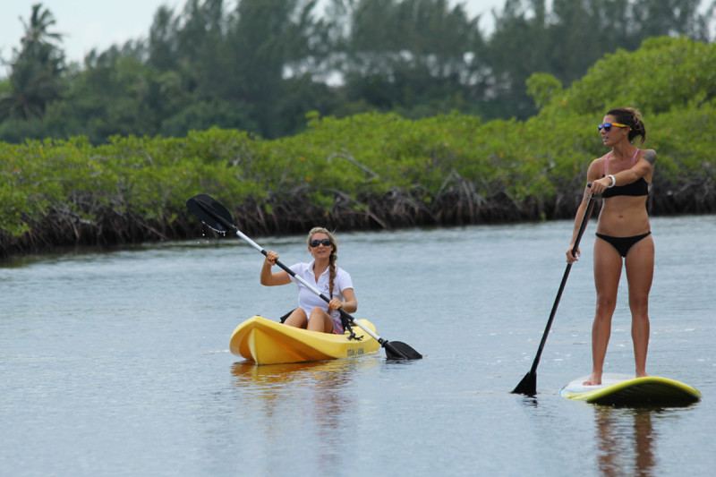 308_43278616_mangrove_sup_and_kayak.jpg