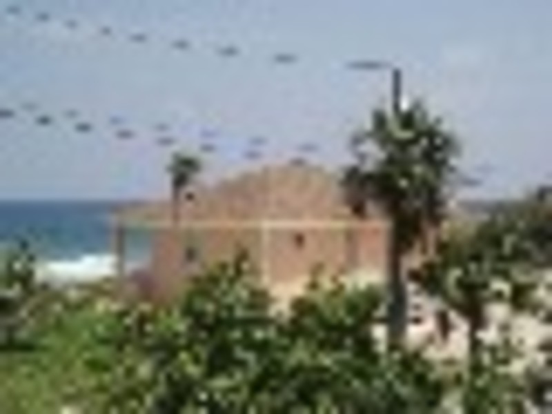 86_43278726_southern_reach2.jpg