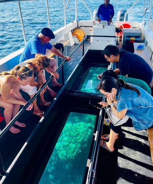 Glass Bottom Boat