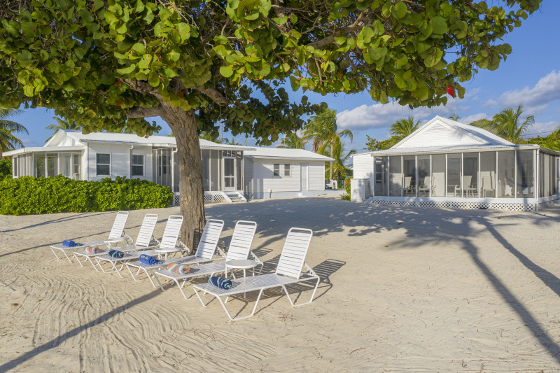 Blossom Village Cottage and the incredible Sea grape Tree from the beach looking back