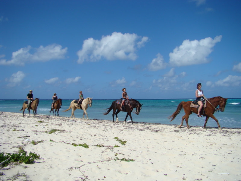 Horseback Riding along the Beach