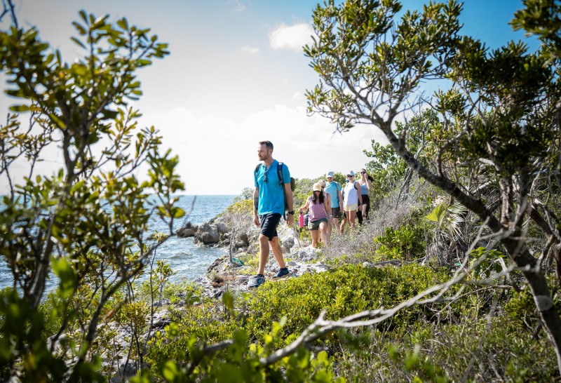 Wander Cayman