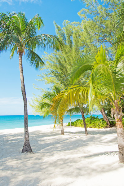 Beach is spectacular