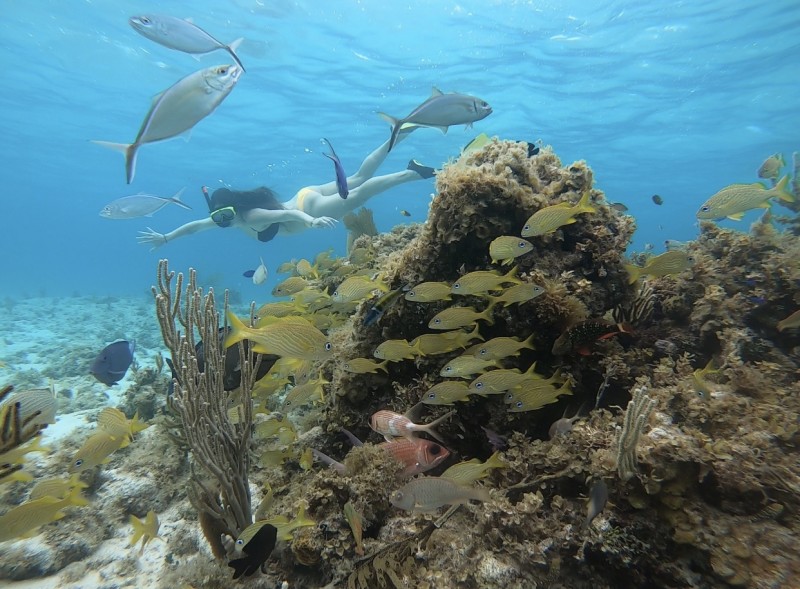 Grand Cayman, Cayman Islands private charter miss essie black tip charters snorkeling