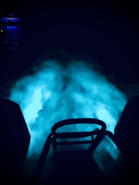 Bioluminescent Bay in Cayman Islands