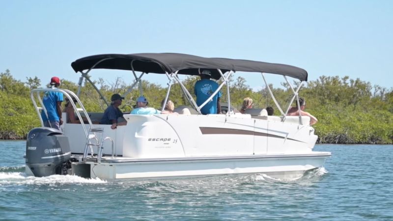 SeaLand Adventure Tours