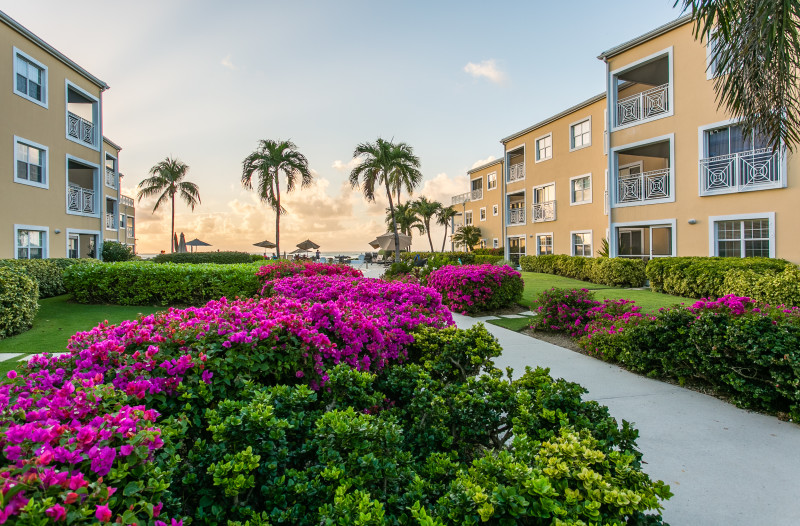 Regal Beach Club grounds are well maintained and very beautiful