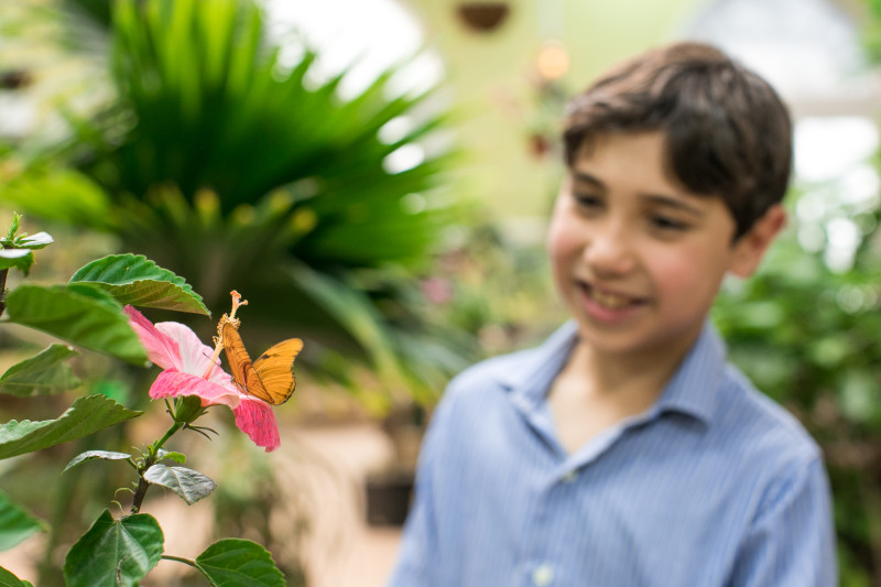 Joseph L. Popp Jr. Butterfly Conservatory