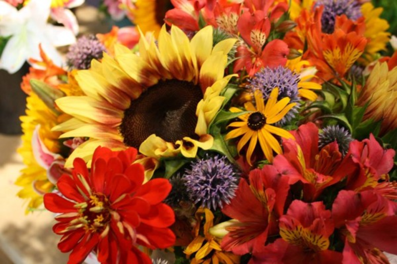 Cooperstown Farmers' Market