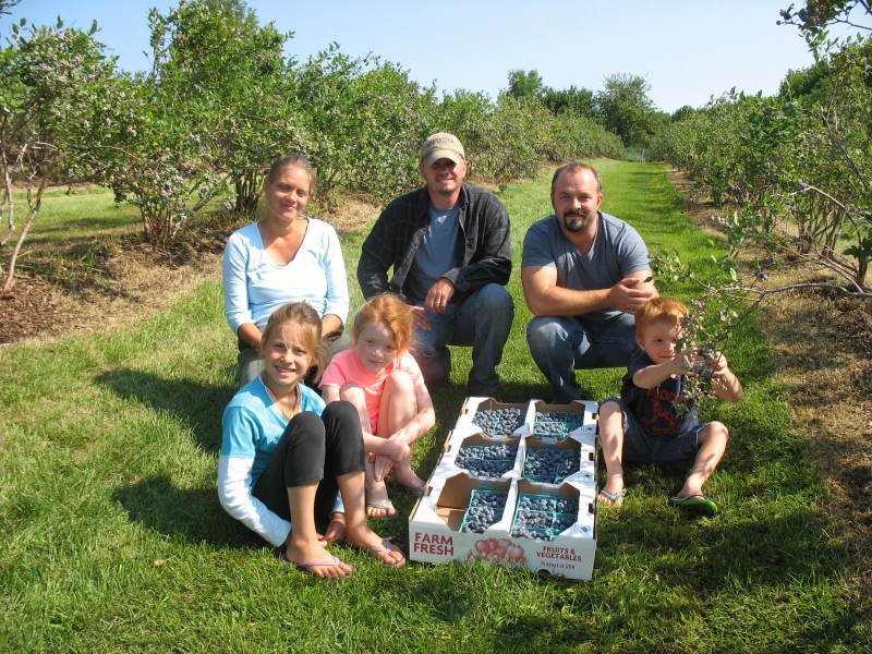 Ingalls Blueberry Hill